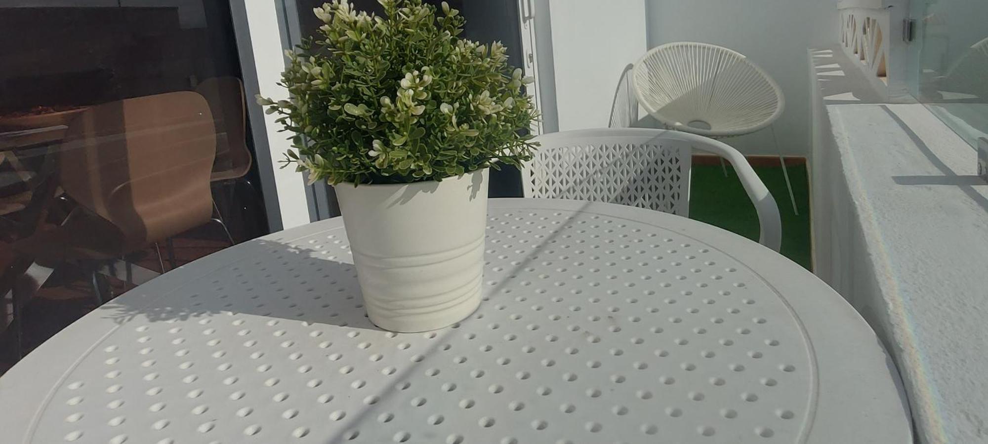 Appartamento Olas Atico Penhouse With Terrace And Sea View, 2 Bedrooms *